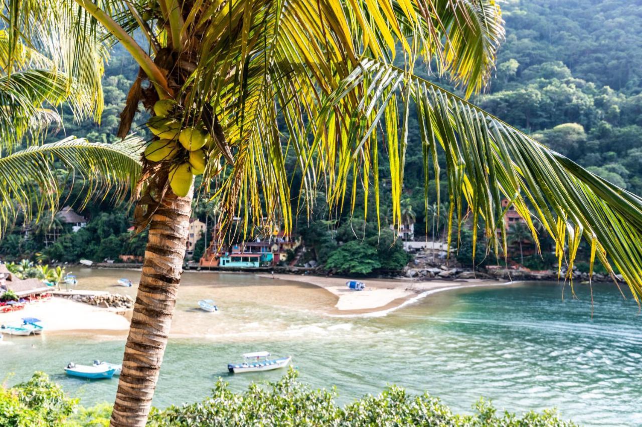 Boca De Tomatlan Luxury Boutique Hotel Accommodations Puerto Vallarta Exterior photo